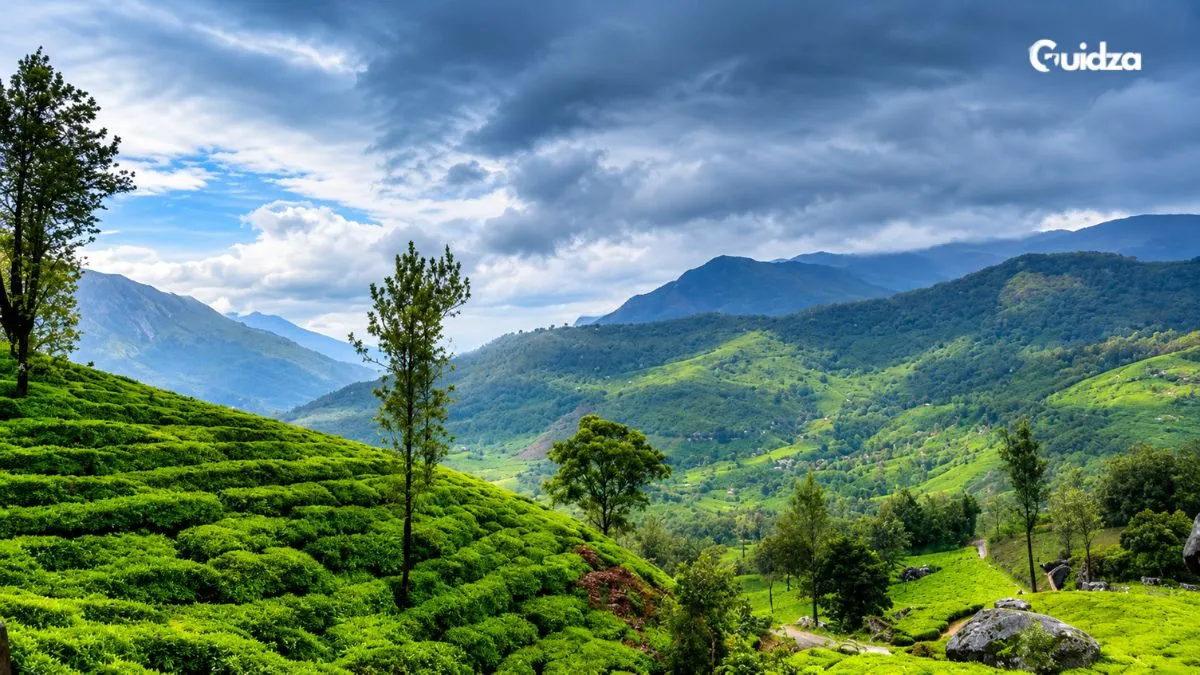 Wayanad