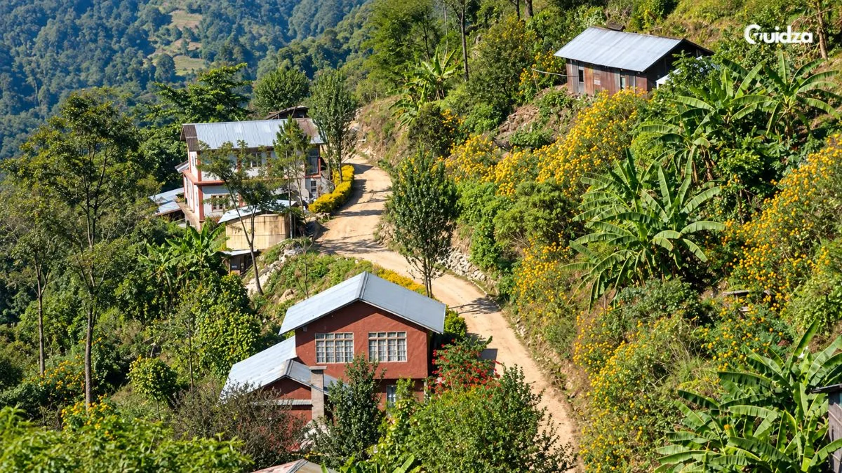 Dimapur