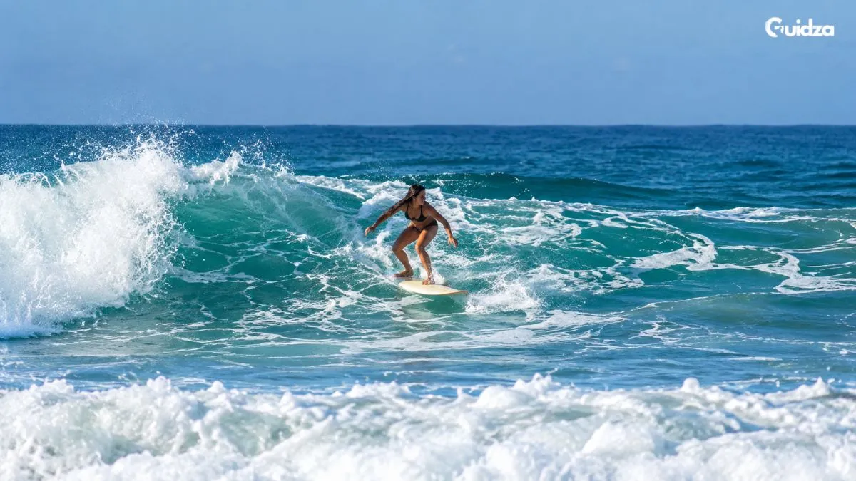 Surfing