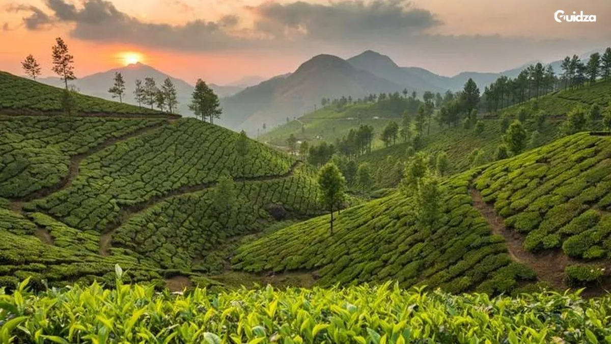 Munnar