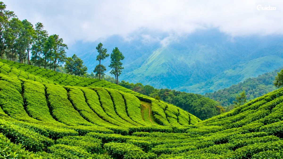 Thekkady