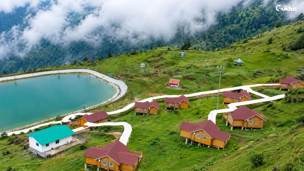 Auli