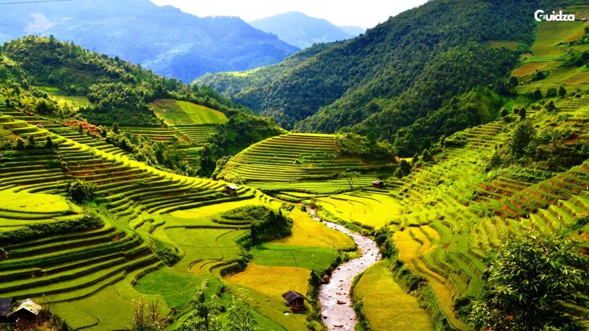 Vietnam