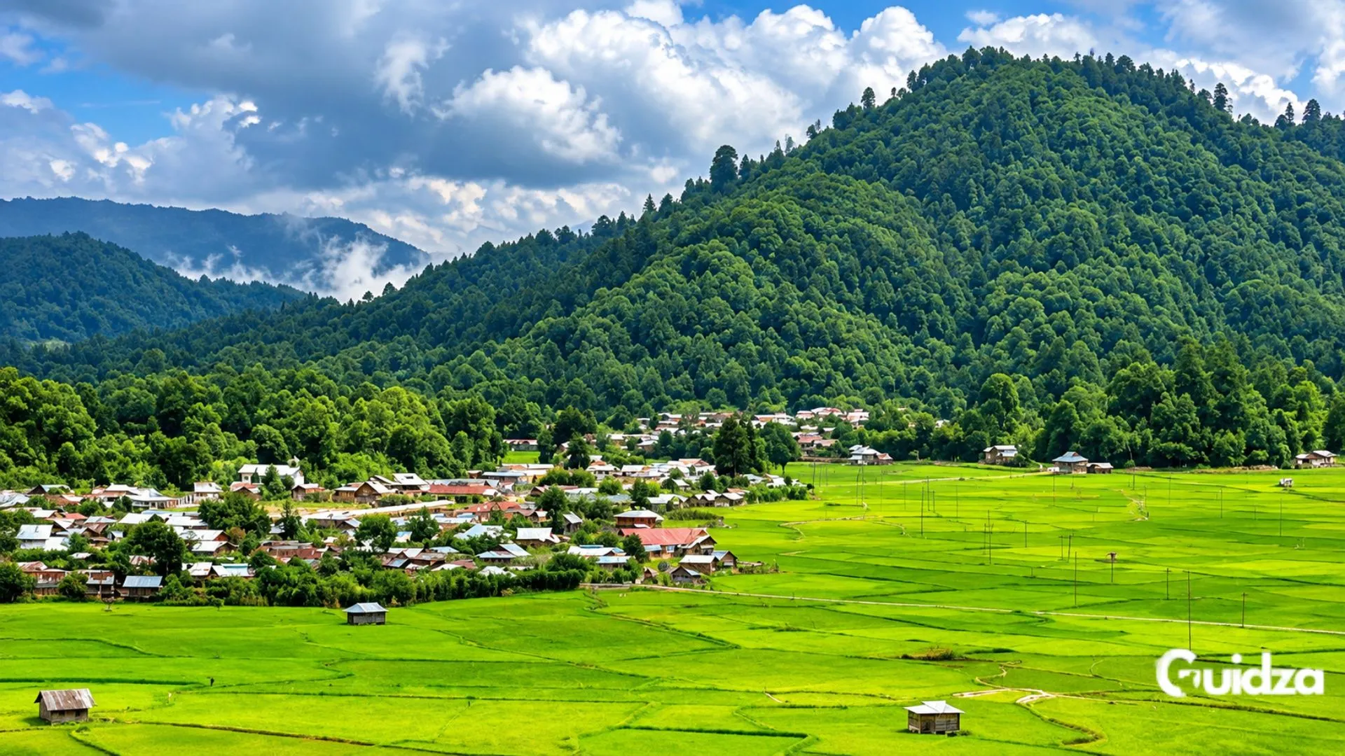 Ziro