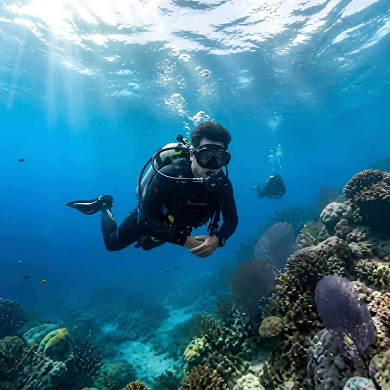 Scuba Diving