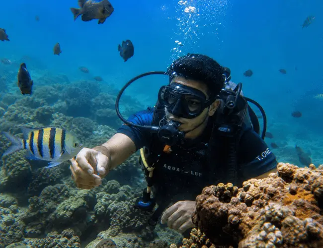 Karnataka: Scuba Diving in Murudeshwar 1