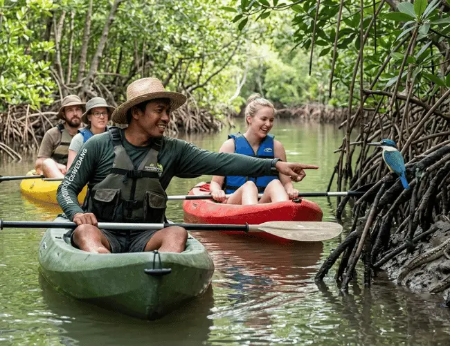 Bali: Banyuwedang Mangrove Kayaking Nature Tour 4