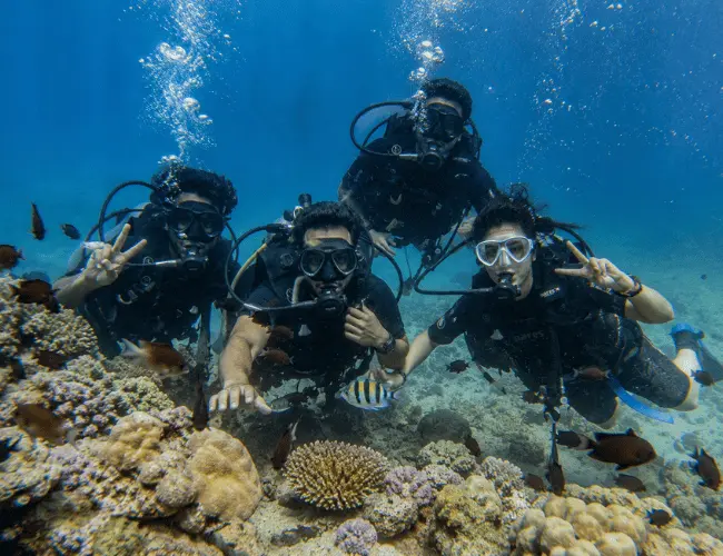 Karnataka: Scuba Diving in Murudeshwar 5