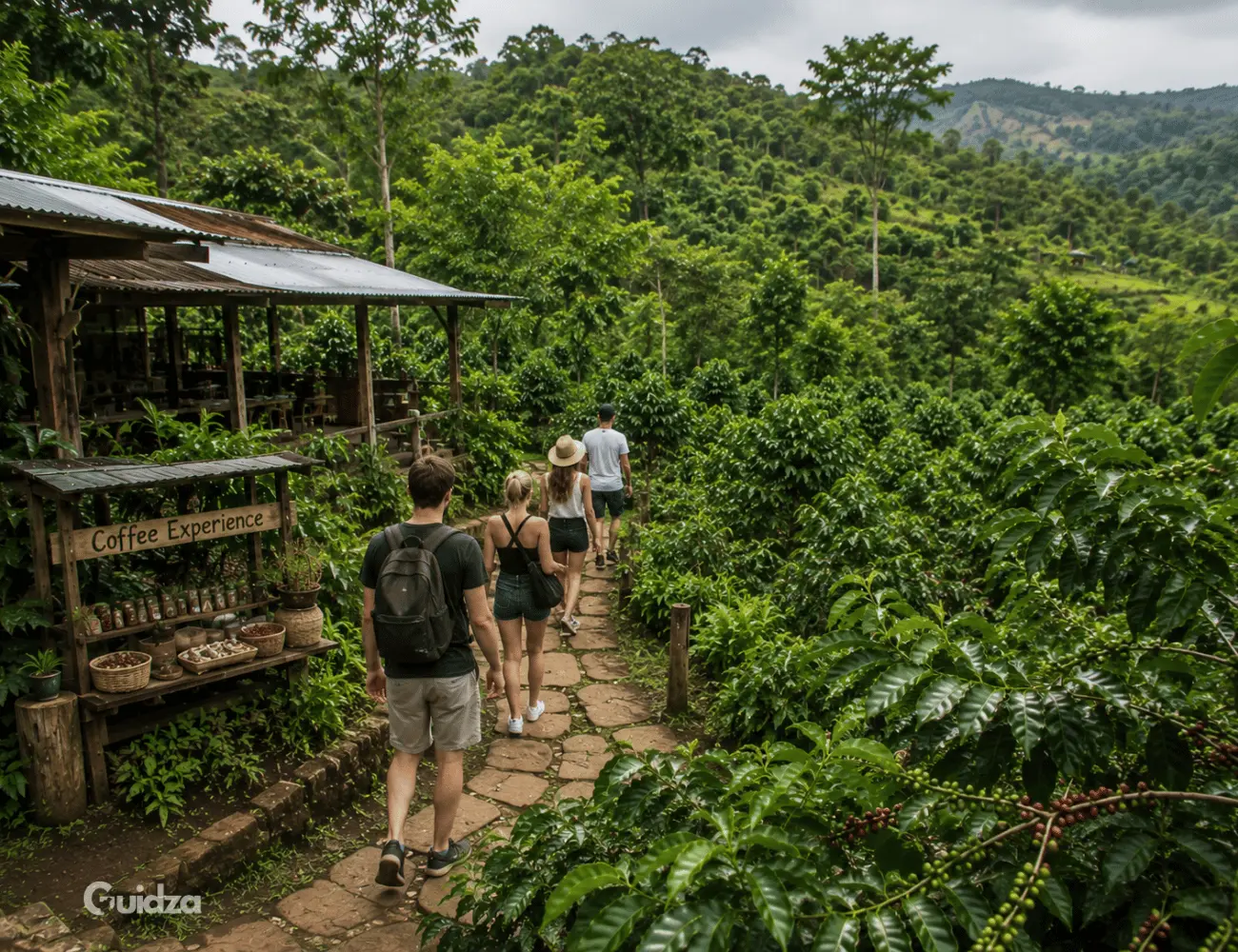 Lokasari: Coffee Plantation, Herbal Tea & Honey Experience 2