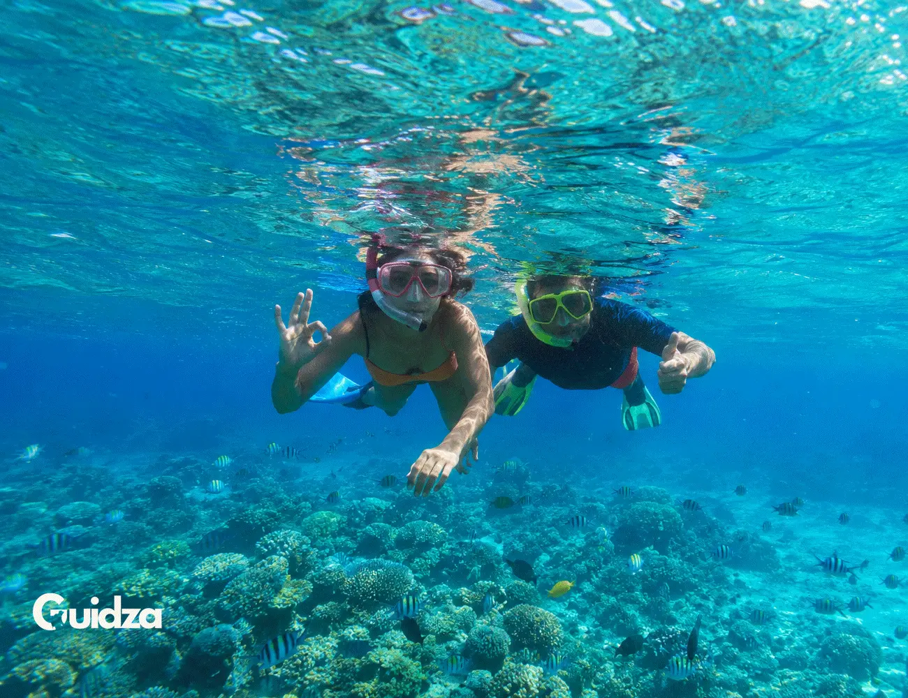Goa: Scuba Diving & Snorkeling with Transfers 2