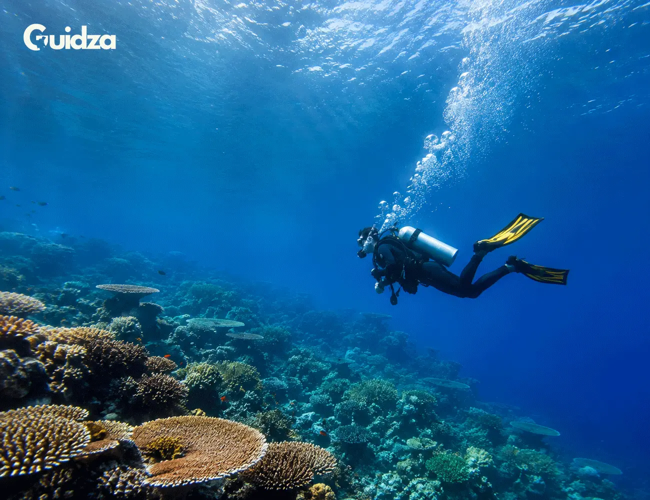 Goa: Scuba Diving & Snorkeling with Transfers 3
