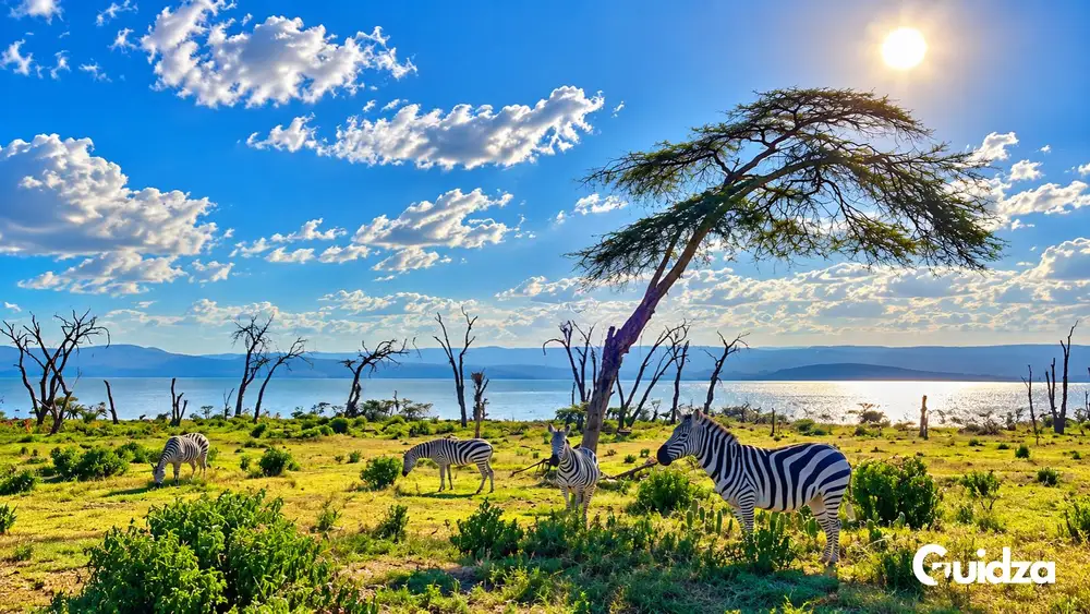 Kenya: Lake Naivasha Crescent Island Walking Safari with Transfers 1