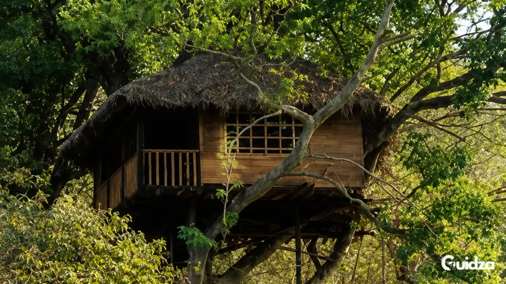 Maharashtra: Lonavala The Machan Luxury Treehouse Forest Stay With Transfers 1