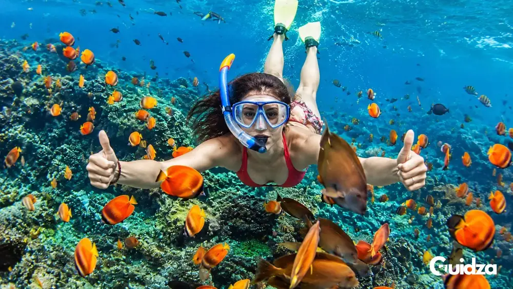 Kenya: Wasini Island & Kisite Marine Park Day Trip with Transfers 1
