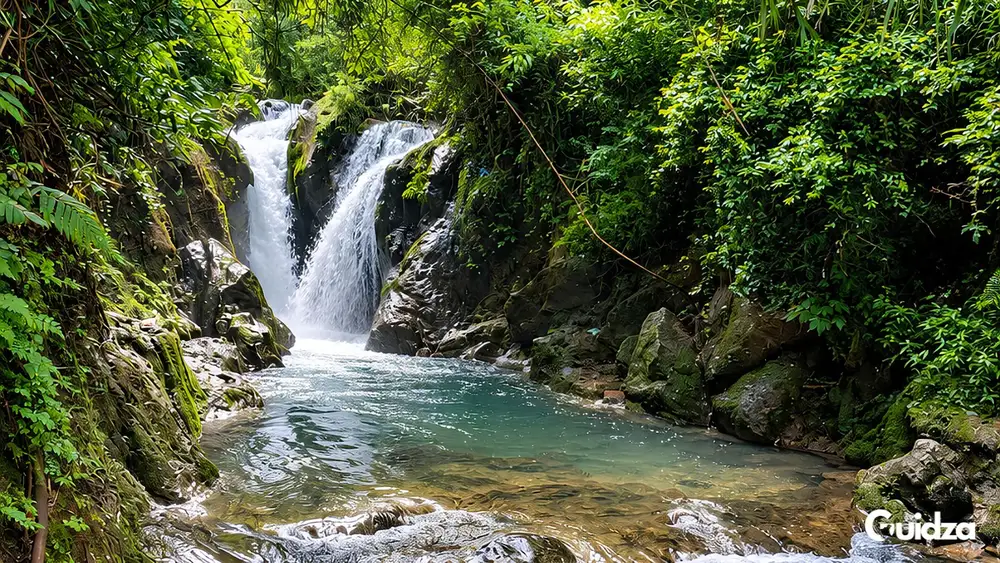 Uttarakhand: Mussoorie Waterfall Trek with Transfers 1