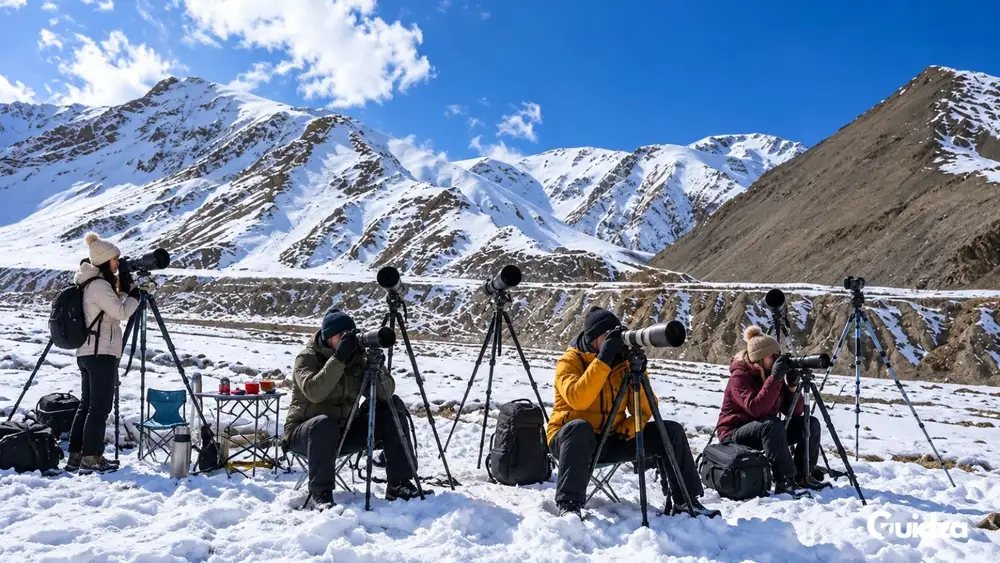 Ladakh: Snow Leopard Hemis National Park Experience with Transfers 1