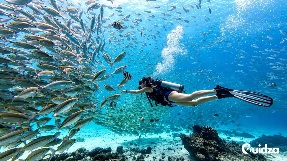 Thailand: Phuket Racha Island Snorkeling Experience with Transfers 1