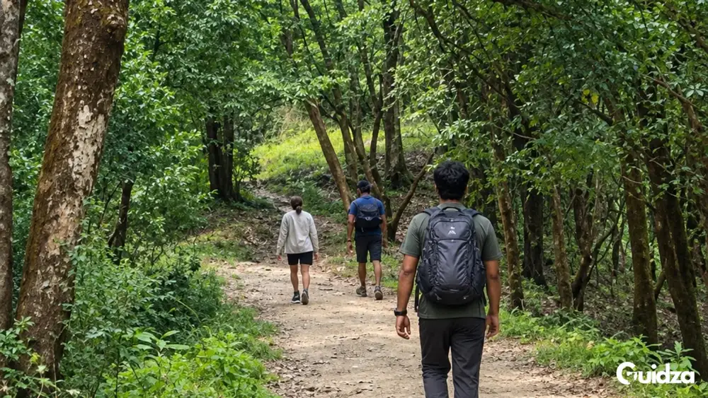 Uttarakhand: Binsar Forest Photography Walk with Transfers 1