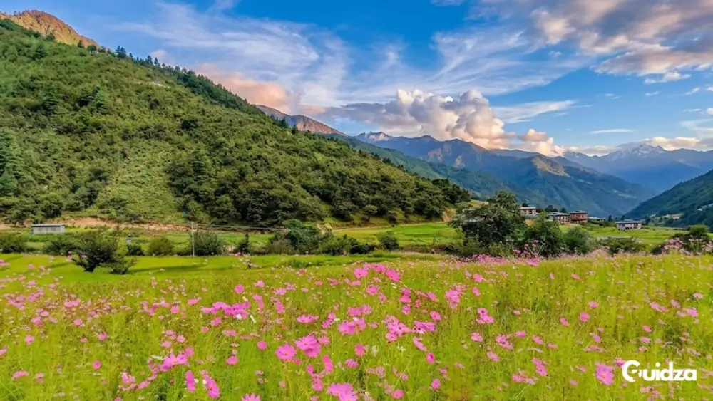 Arunachal Pradesh: Dirang Monastery Tour with Transfers 1
