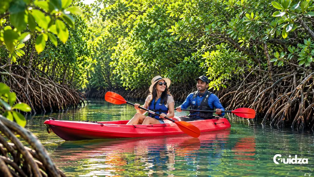 Bali: Banyuwedang Mangrove Kayaking Nature Tour 1