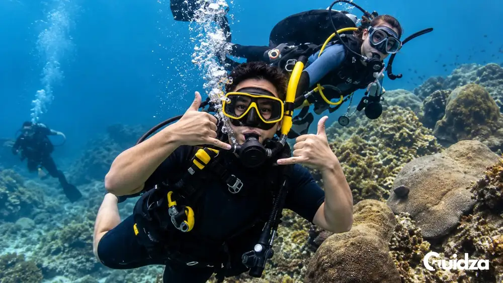 Koh Tao: Scuba Diving Day Trip with Transfers 1