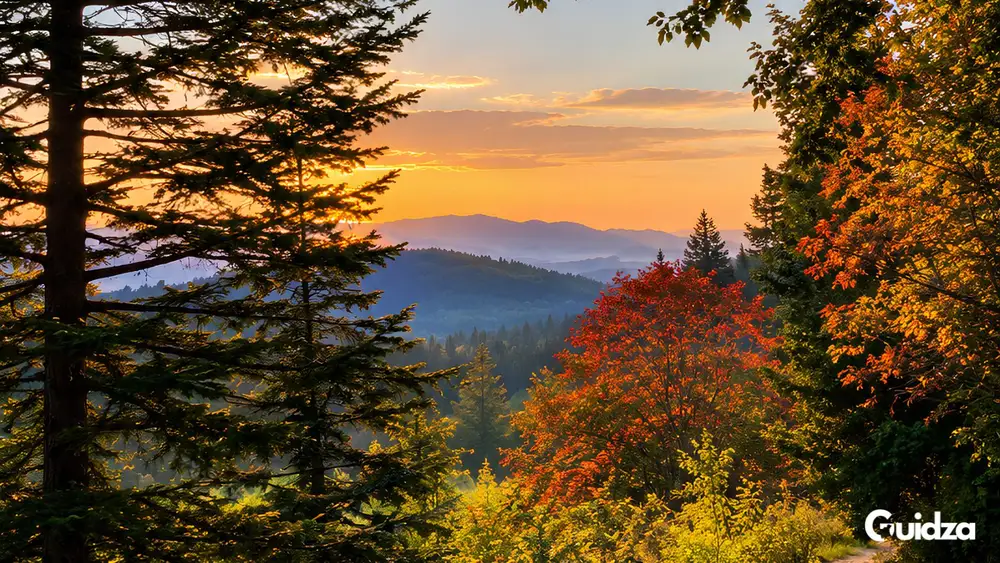 Uttarakhand: Himalayan Forest Bathing with Transfers 1