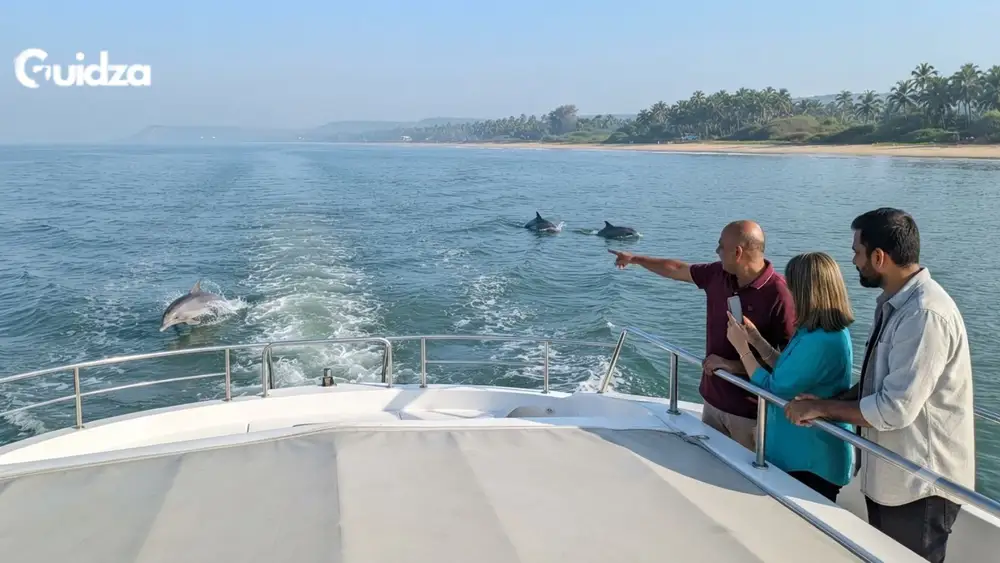 Goa: Dolphin Spotting with Transfers 1