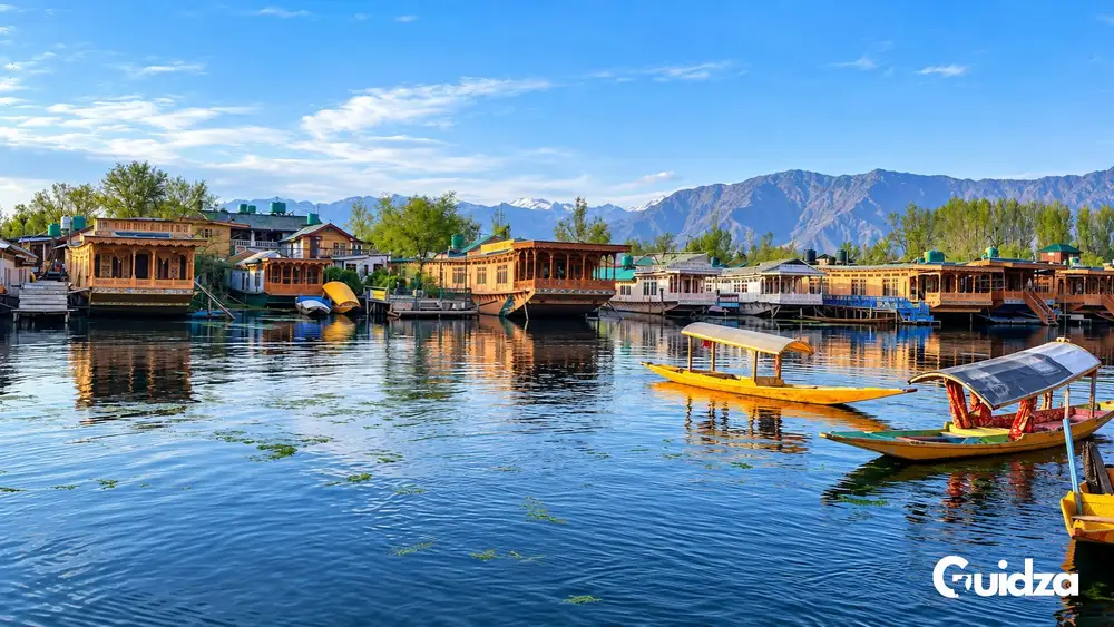 Srinagar: Private Dal Lake Shikara Ride Experience with Transfer 1