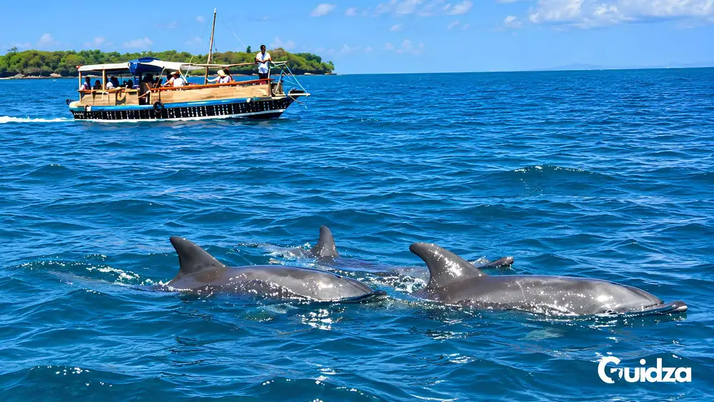 Kenya: Wasini Island Dolphin Watching Tour with Transfers 1