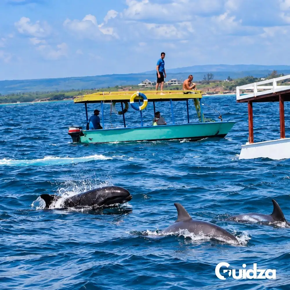 Kenya: Watamu Dolphin Watching Experience with Transfers 5