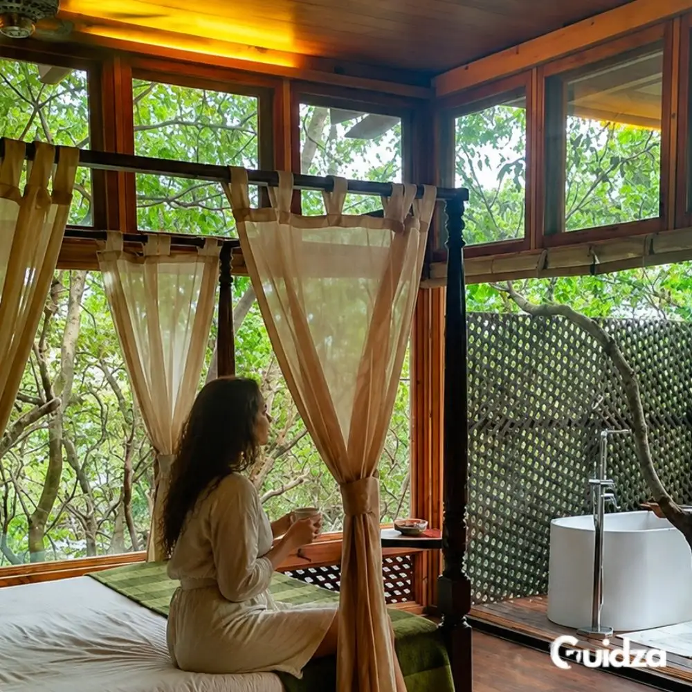 Maharashtra: Lonavala The Machan Luxury Treehouse Forest Stay With Transfers 3