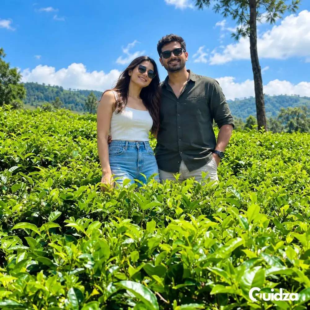 Ella :Tea Factory & Tea Tasting Tour with Private Transfers 2