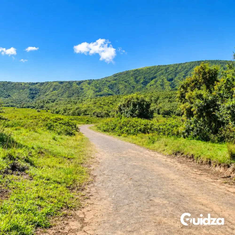 Kenya: Mount Longonot Crater Hike with Transfers 5
