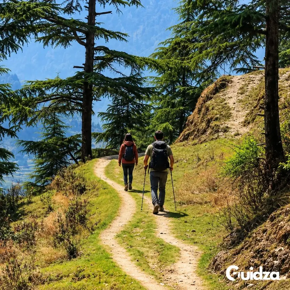 Uttarakhand: Dhanaulti Forest Trek with Transfers 4