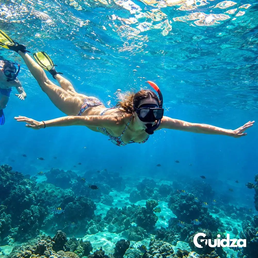 Thailand: Phuket Racha Island Snorkeling Experience with Transfers 2