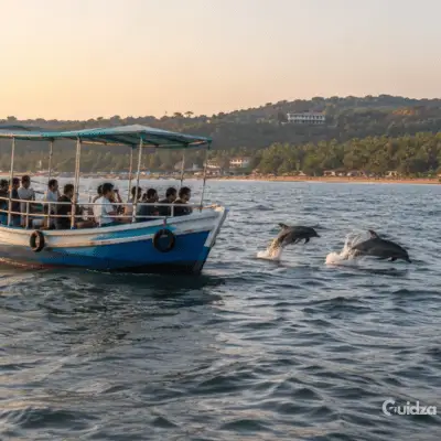 Goa: Dolphin Sightseeing Cruise with Transfers 3
