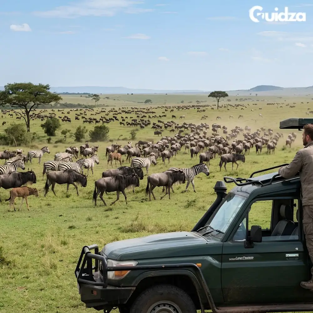 Maasai Mara: Great Migration Safari Day Trip with Transfers 3