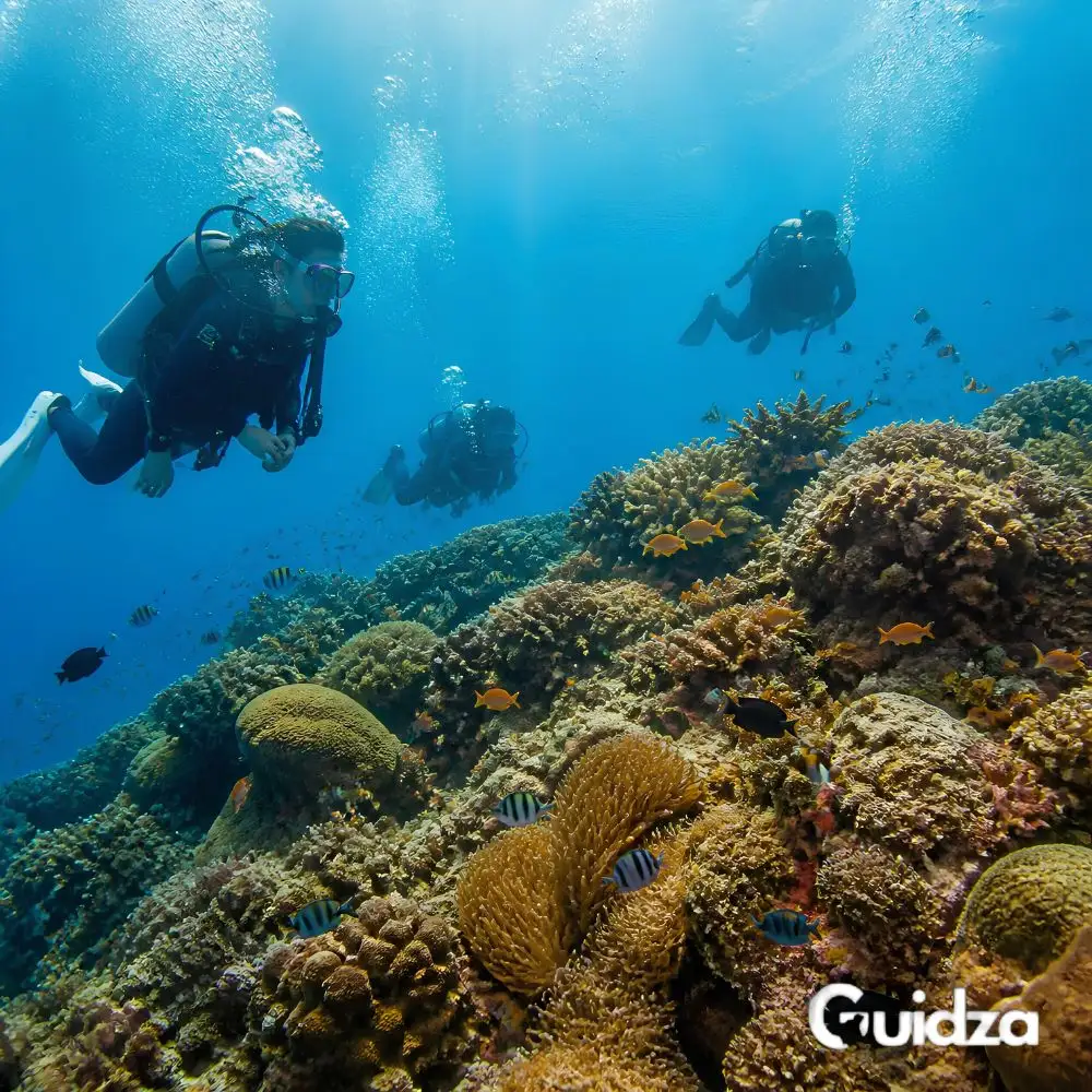 Phuket: Scuba Diving Experience with Transfer 4