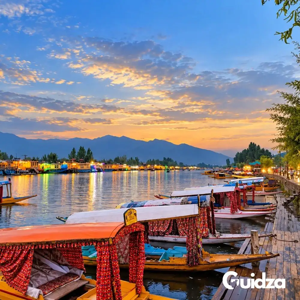 Srinagar: Private Dal Lake Shikara Ride Experience with Transfer 2