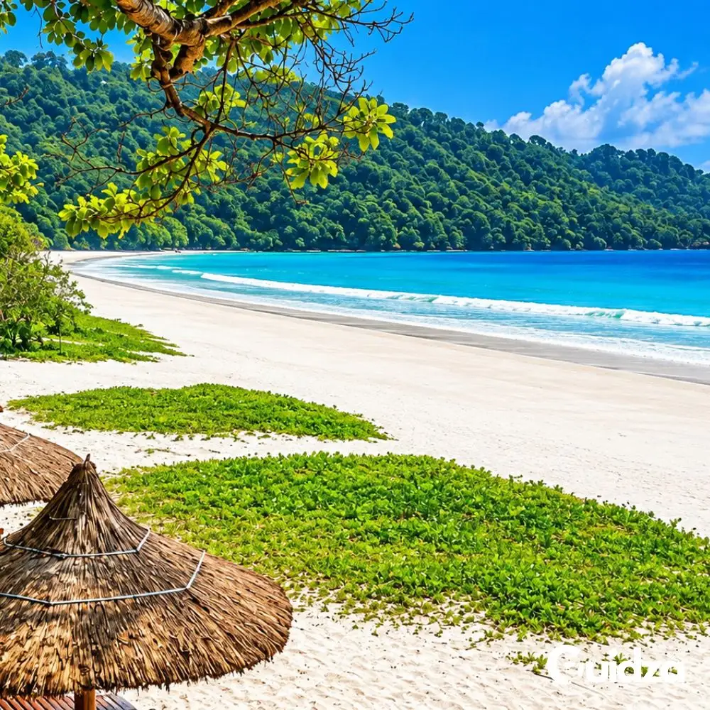 Andaman and Nicobar: Radhanagar Beach Photoshoot with Transfer 3