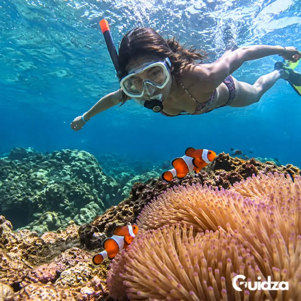 Pattaya: Snorkeling with Transfers 2