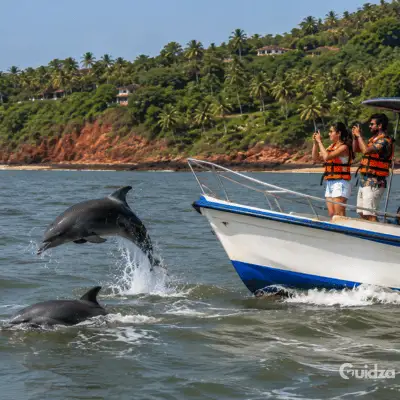 Goa: Dolphin Sightseeing Cruise with Transfers 5