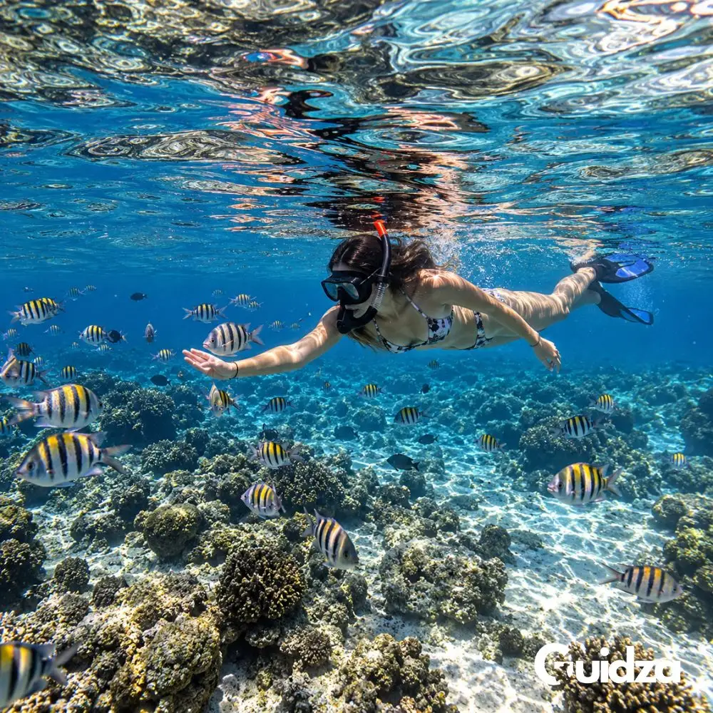 Thailand: Phuket Racha Island Snorkeling Experience with Transfers 5