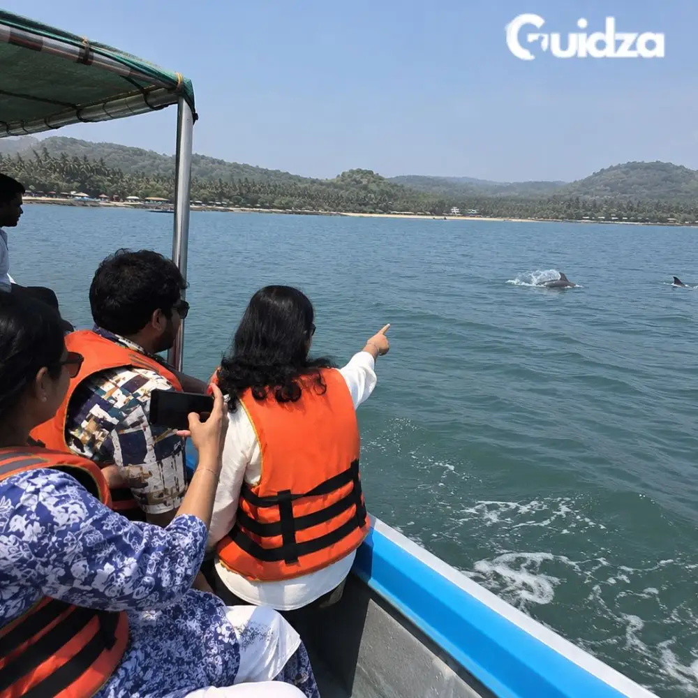 Bengaluru: Dolphin Watching Tour Karwar 3