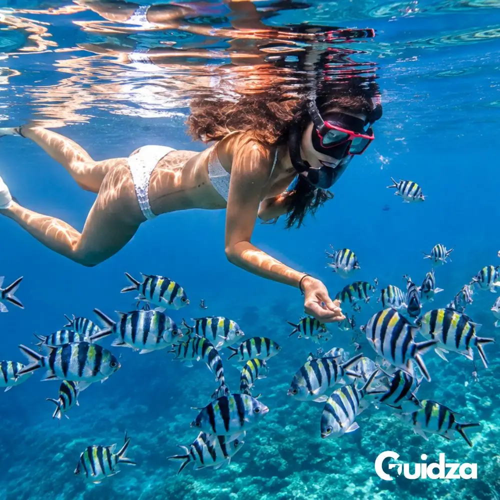 Thailand: Phuket Racha Island Snorkeling Experience with Transfers 4