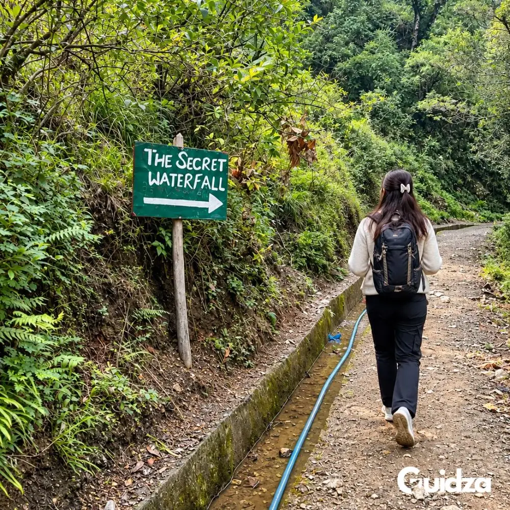 Uttarakhand: Mussoorie Waterfall Trek with Transfers 5
