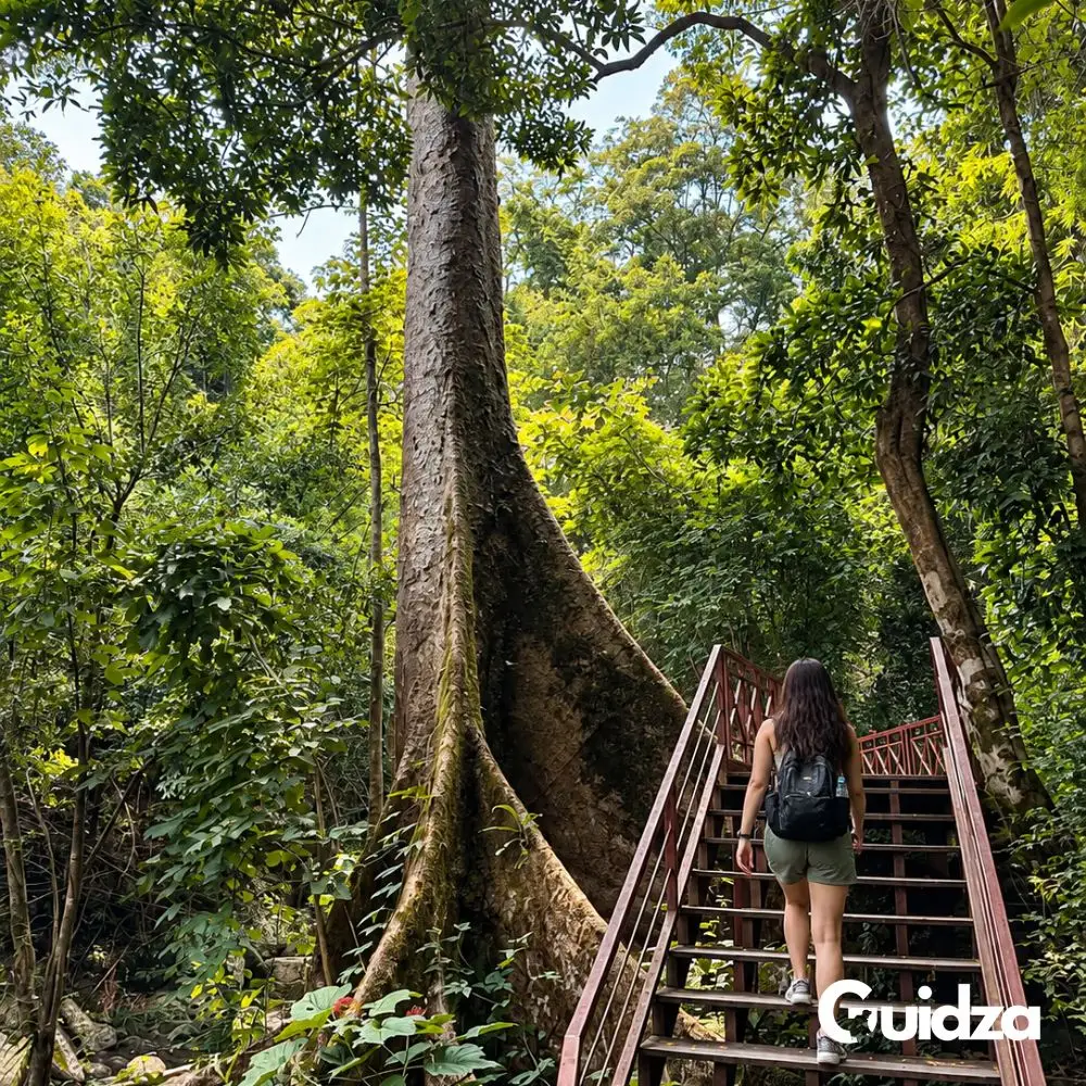 Hua Hin: Waterfall Trek with Transfers 4