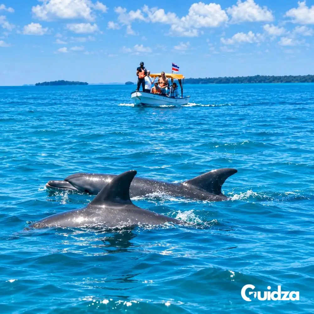 Kenya: Wasini Island Dolphin Watching Tour with Transfers 3