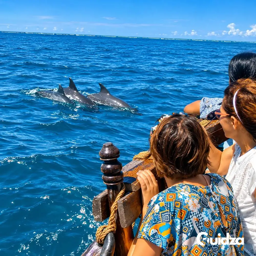 Kenya: Wasini Island Dolphin Watching Tour with Transfers 2