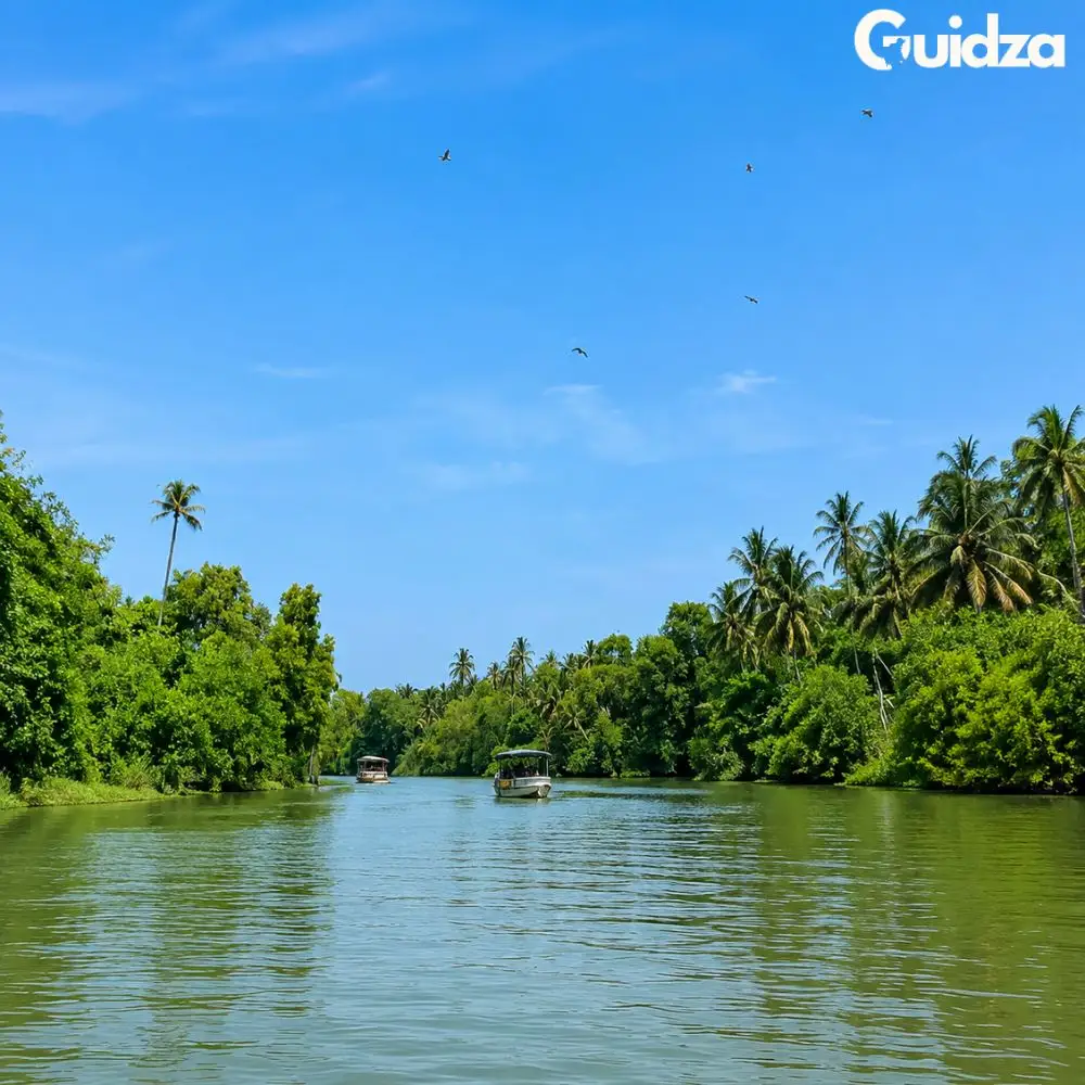 Kerala: Poovar Backwater Village Cruise with Transfers 4